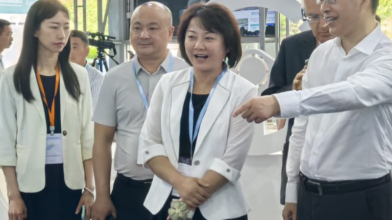 定制logo不只是贴个标，汽车遮阳罩的品牌化正在改变行业格局